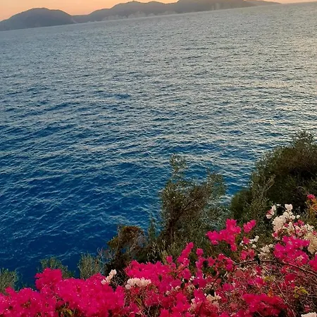 Guest house Cavos Kefalonia *